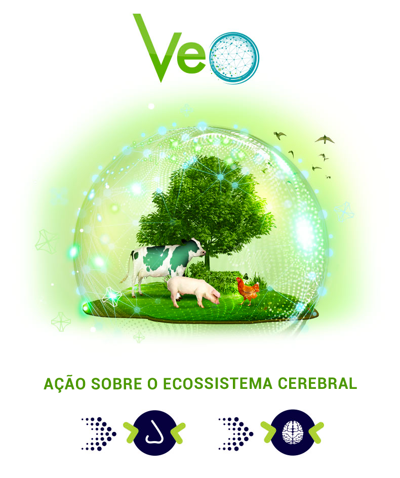 veo