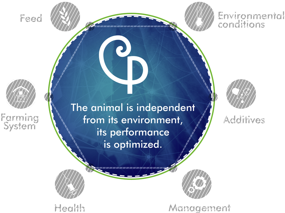 Phodé_performance_animal_care_english