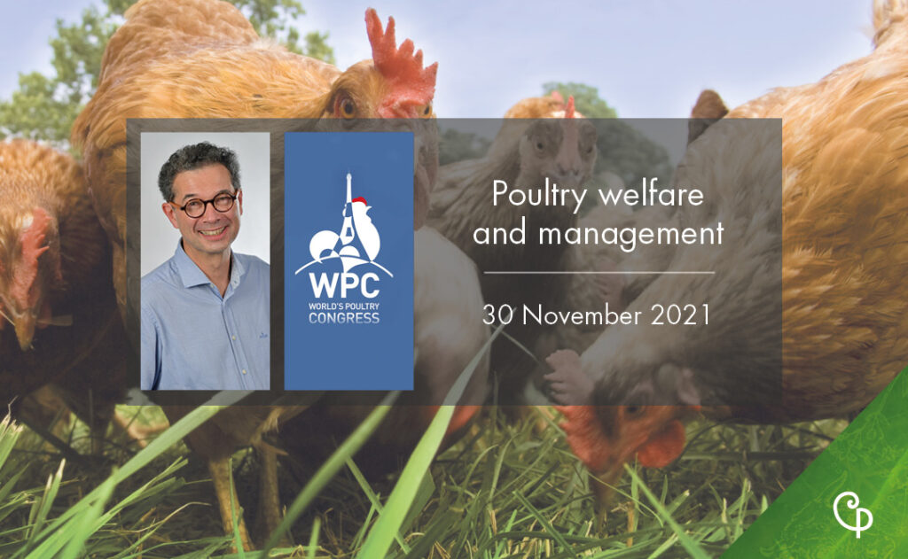 Webinar Poultry welfare and management