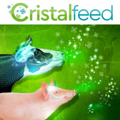 cristalfeed arômes focntionnels