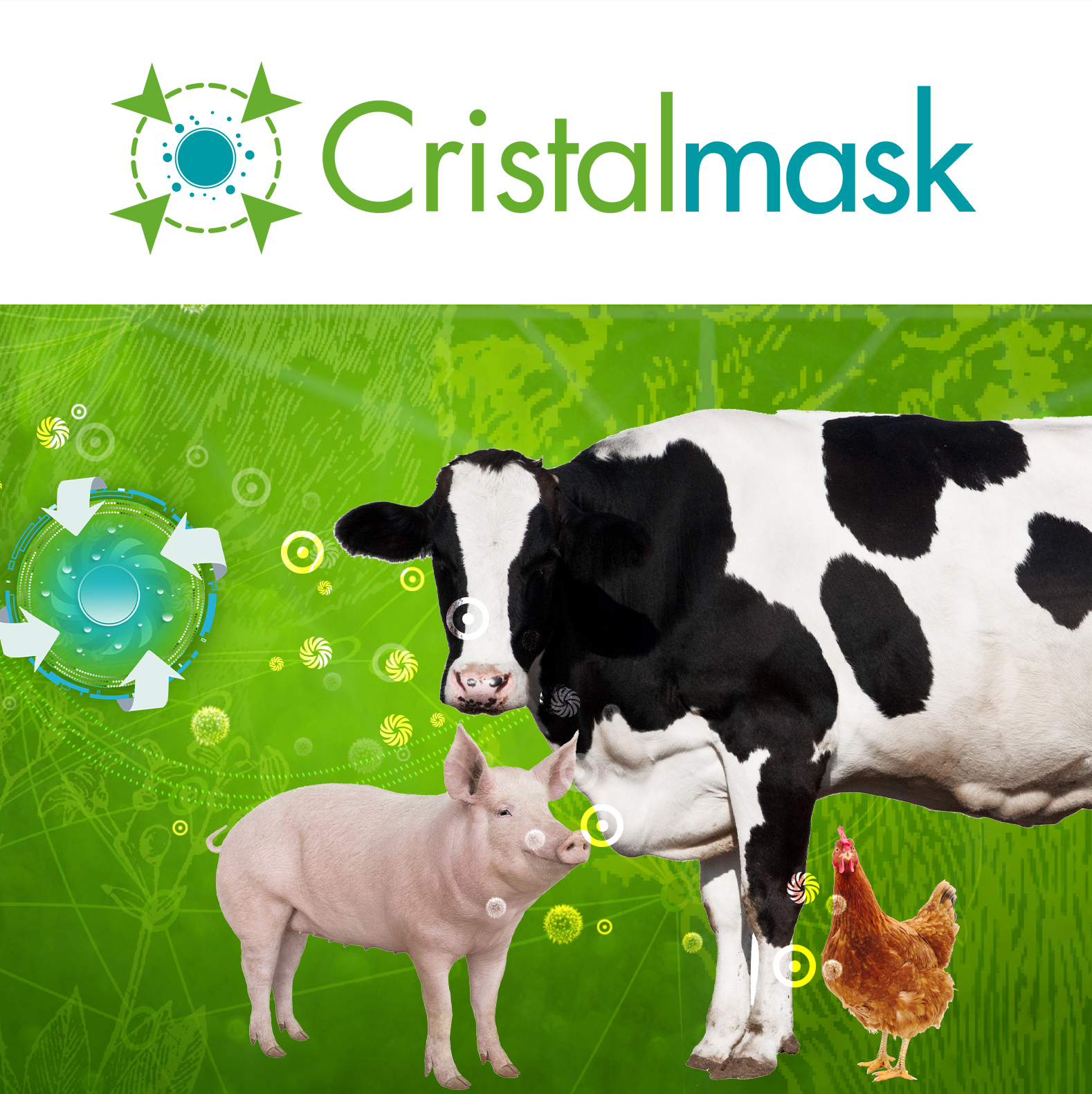 cristalmask