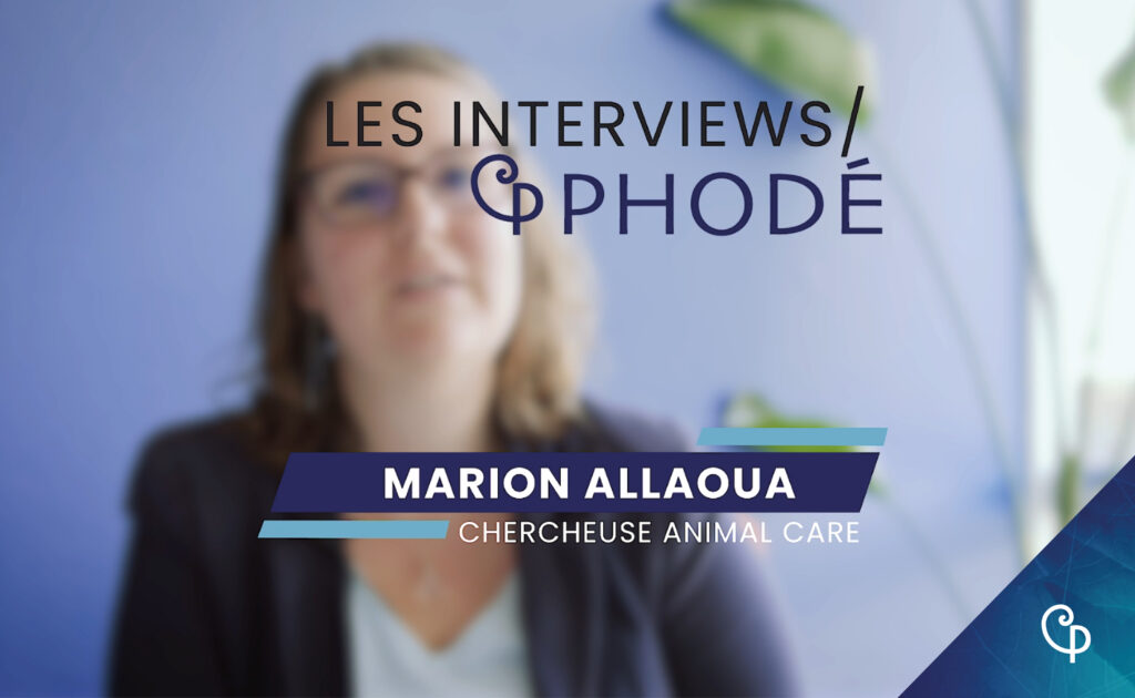 Interview Marion Allaoua