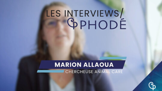Interview Marion Allaoua