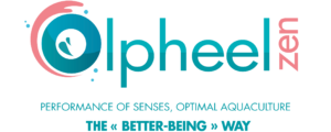 olpheel zen