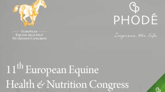 equine-congress