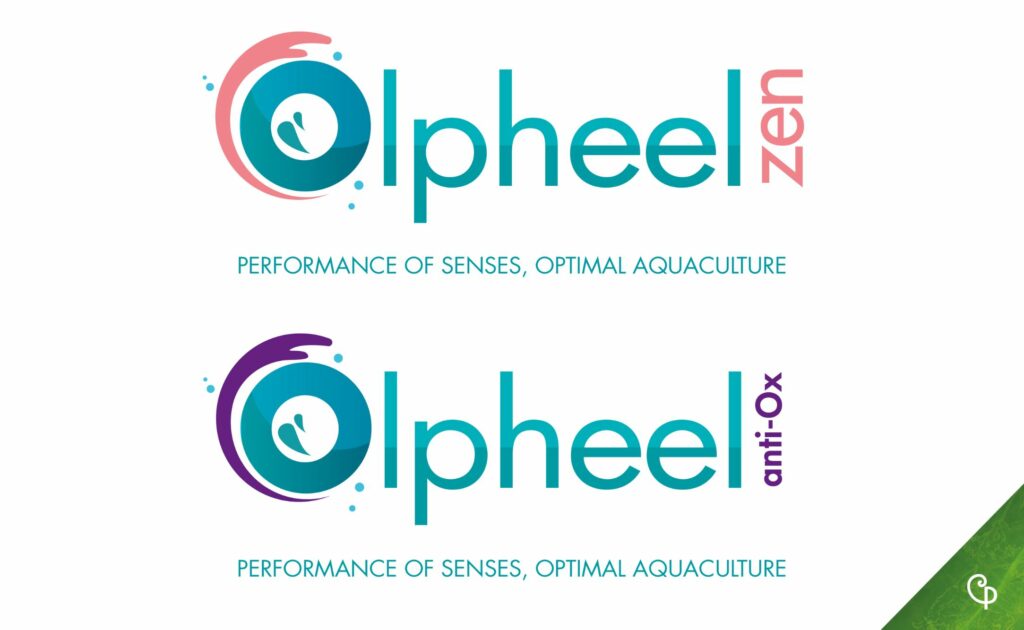 Olpheel zen olpheel anti ox