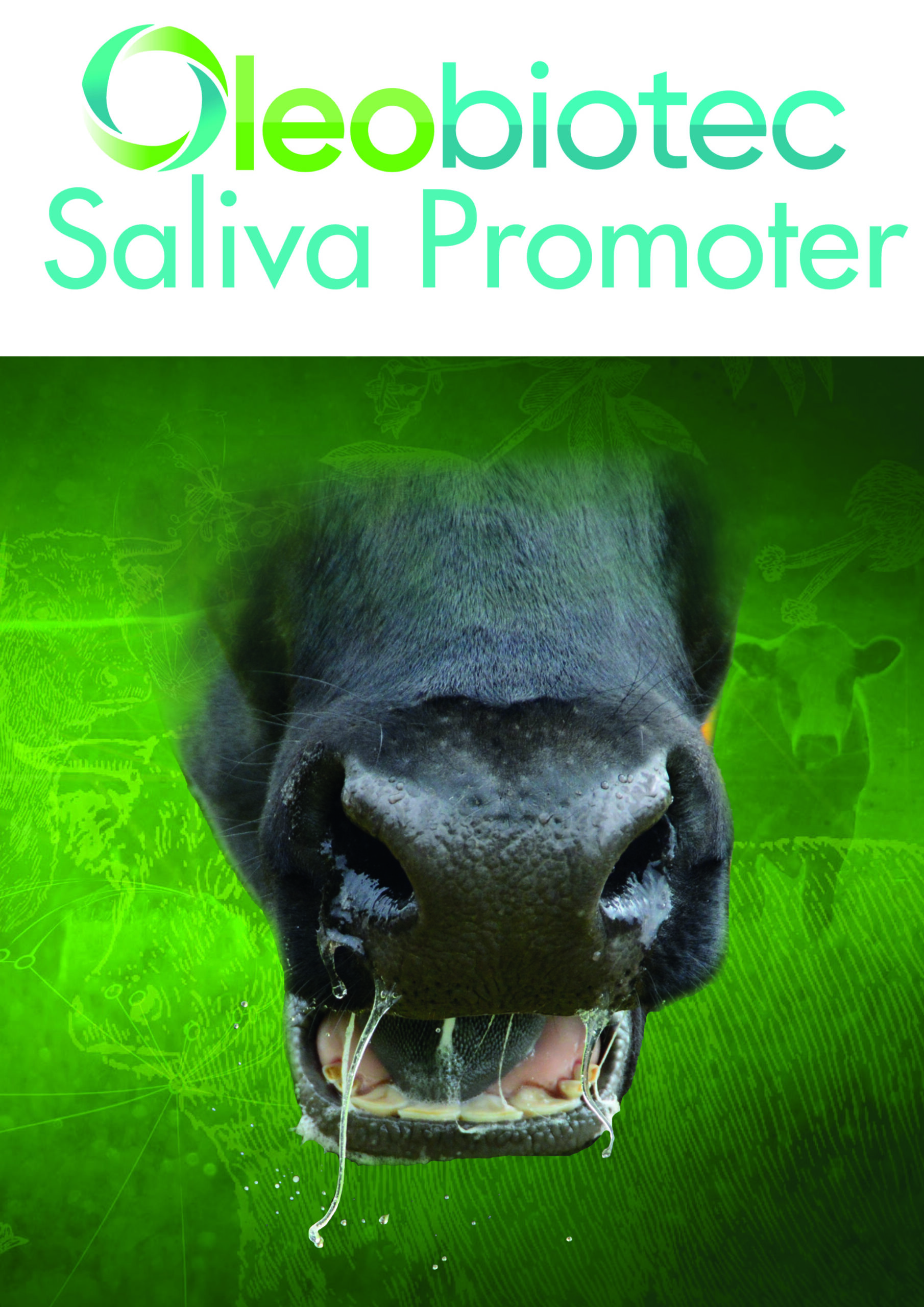 Oleobiotec saliva promoter