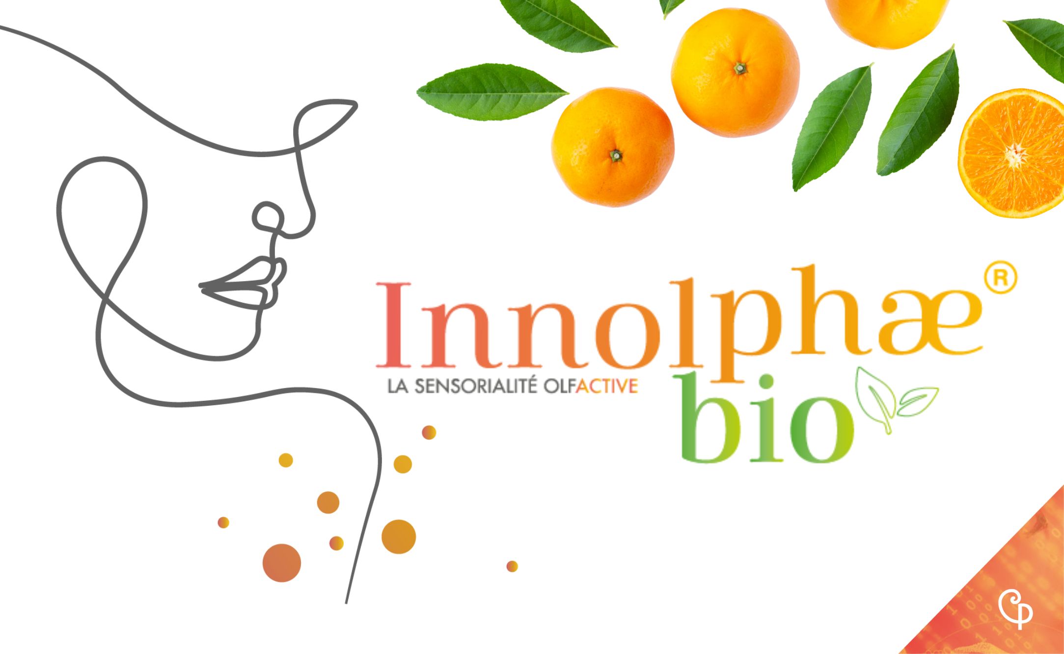 Innolphae bio