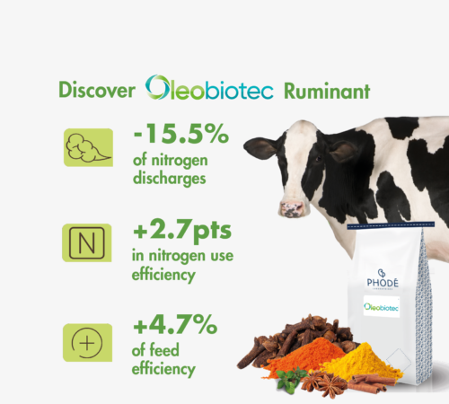Ruminant - Decrease nitrogen discharges - Oleobiotec