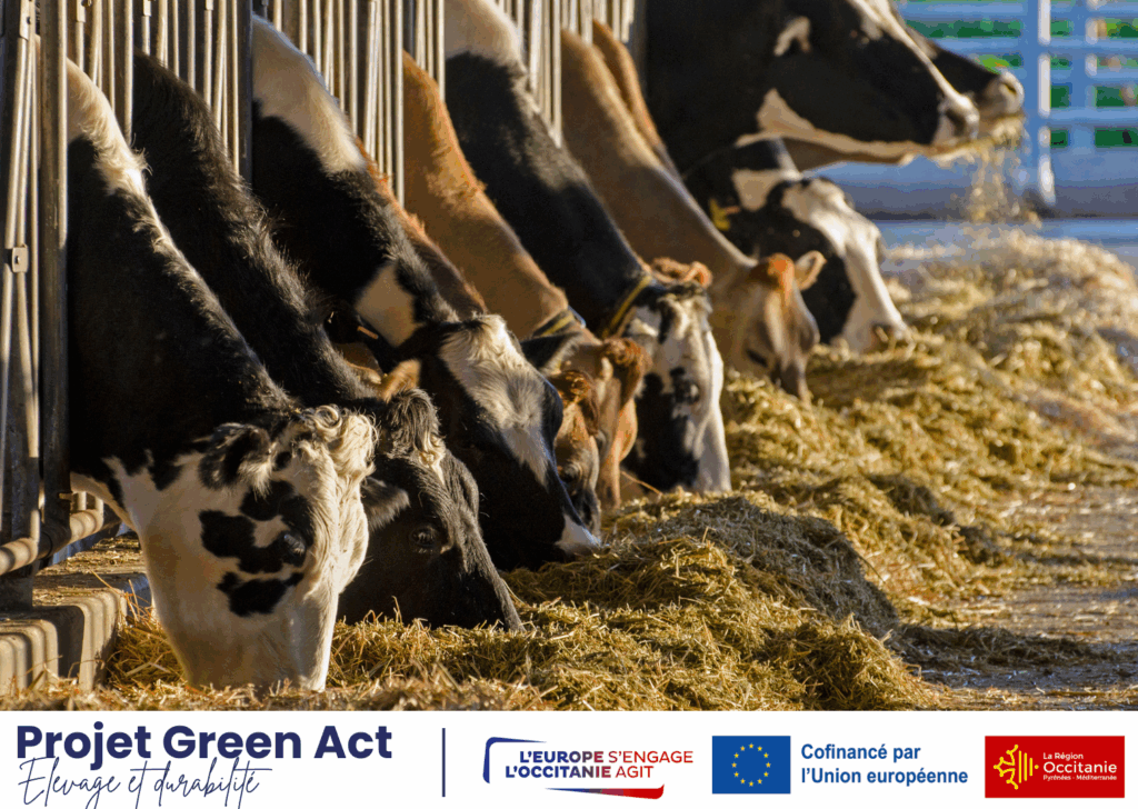 projet green act